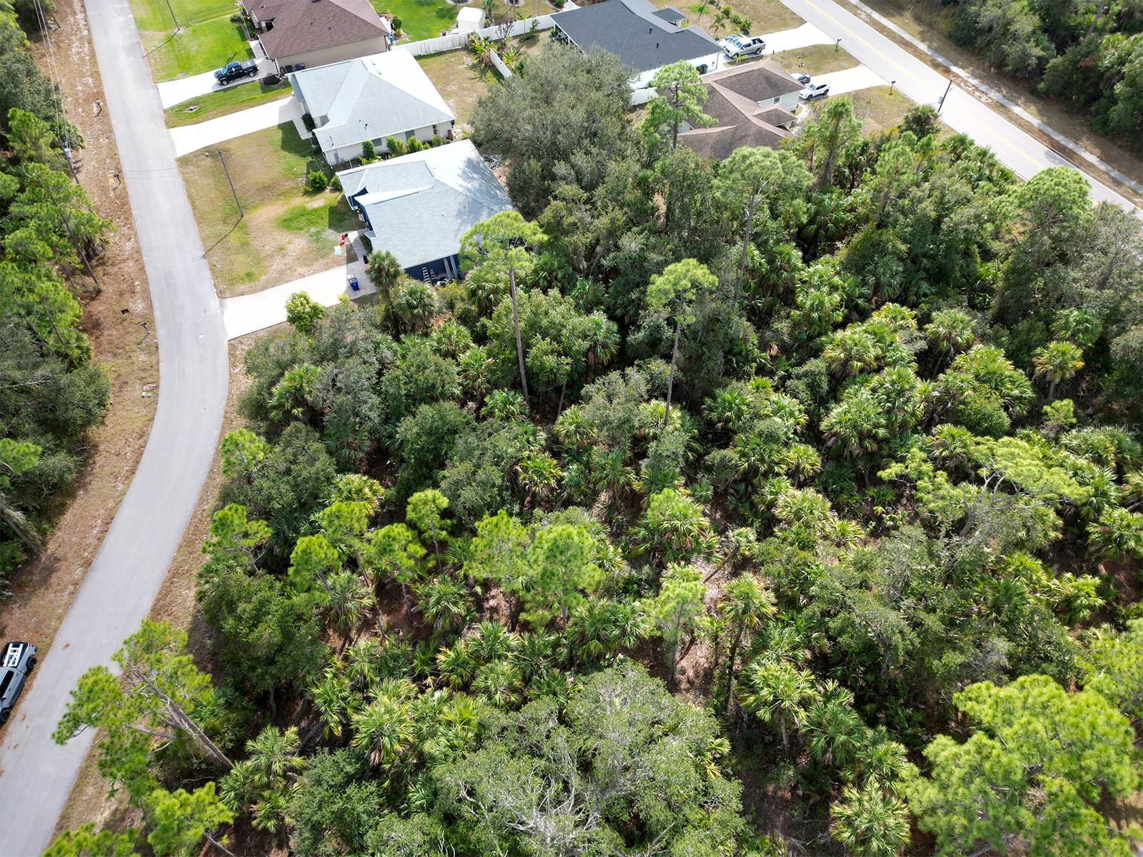 Felix Avenue, FL