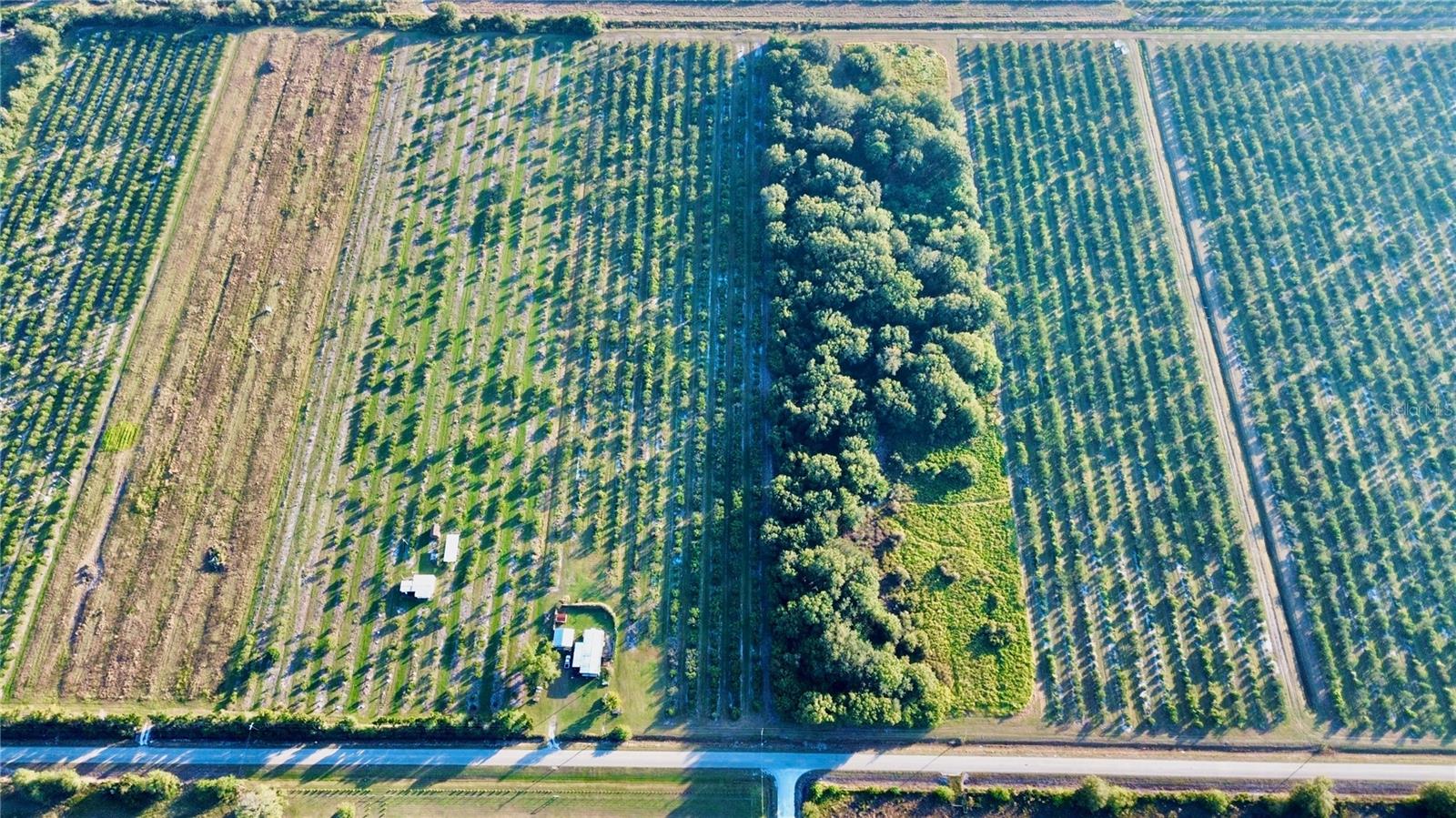 2205 Hicks Road, FL