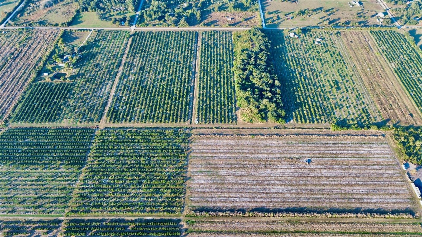 2205 Hicks Road, FL