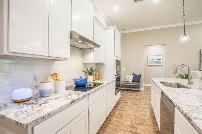 926 Buckeye Drive, FL