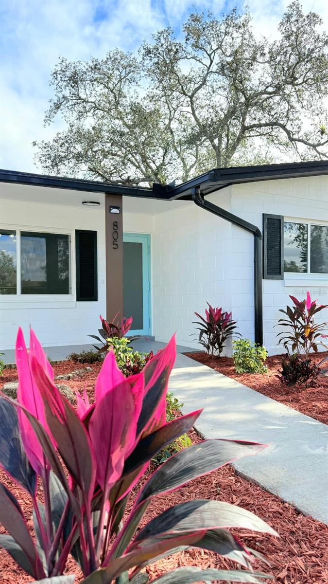 805 Highland Terrace, FL