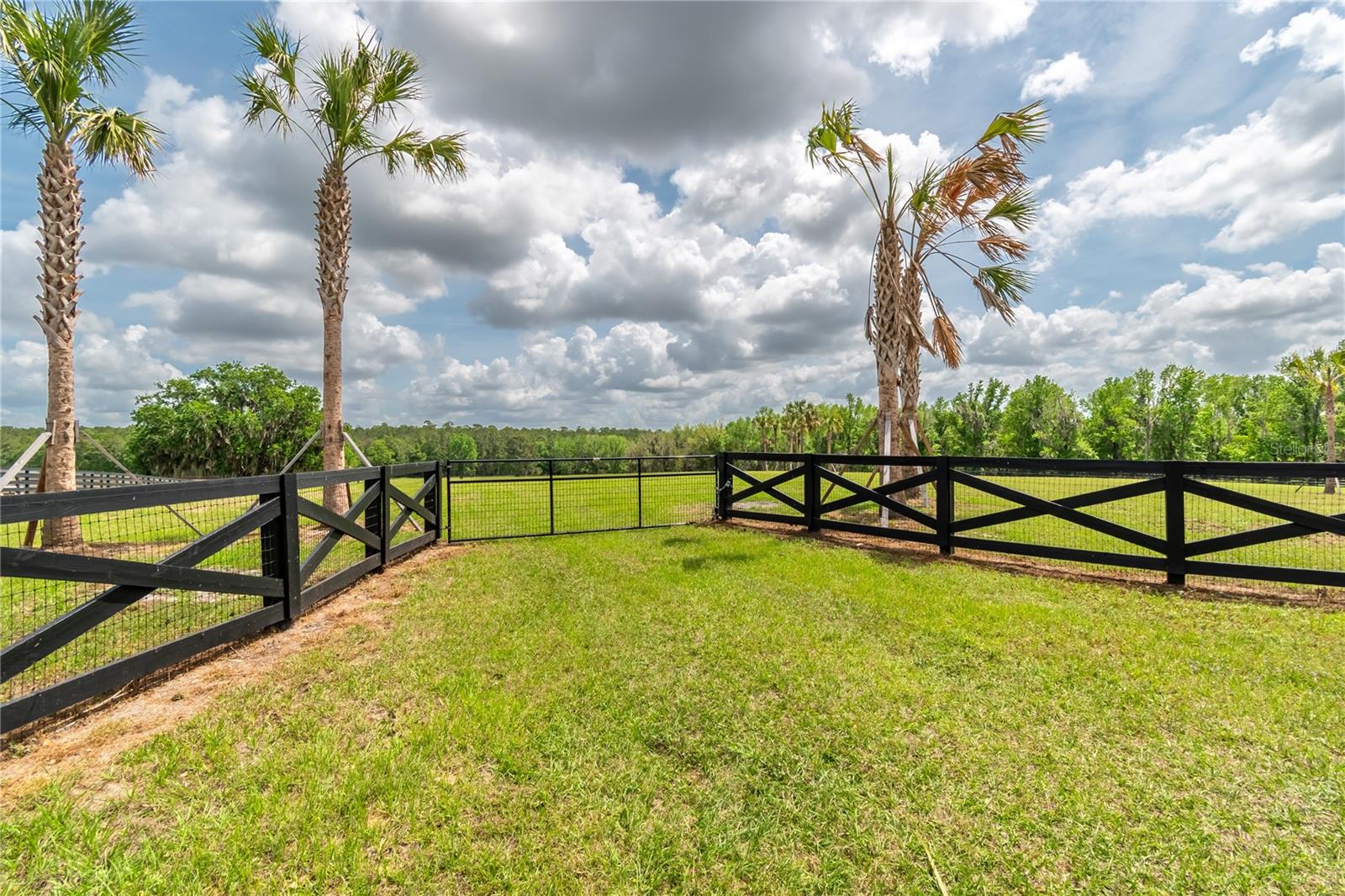 Tbd Hwy 329, FL