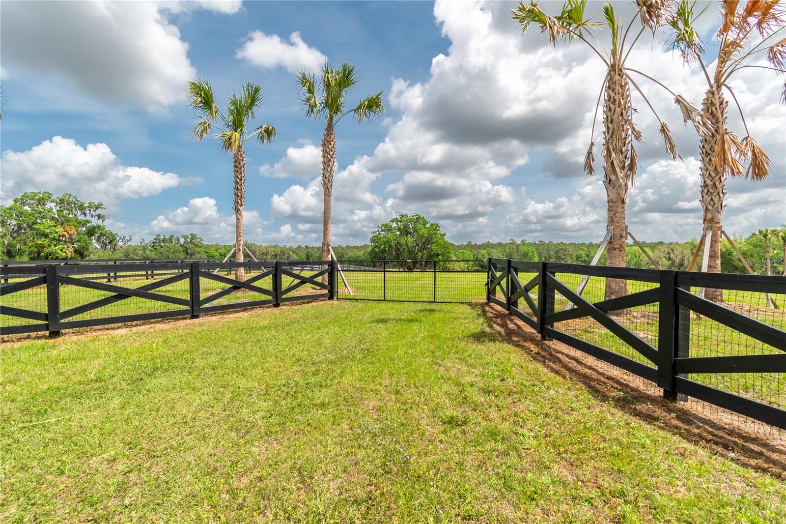 Tbd Hwy 329, FL