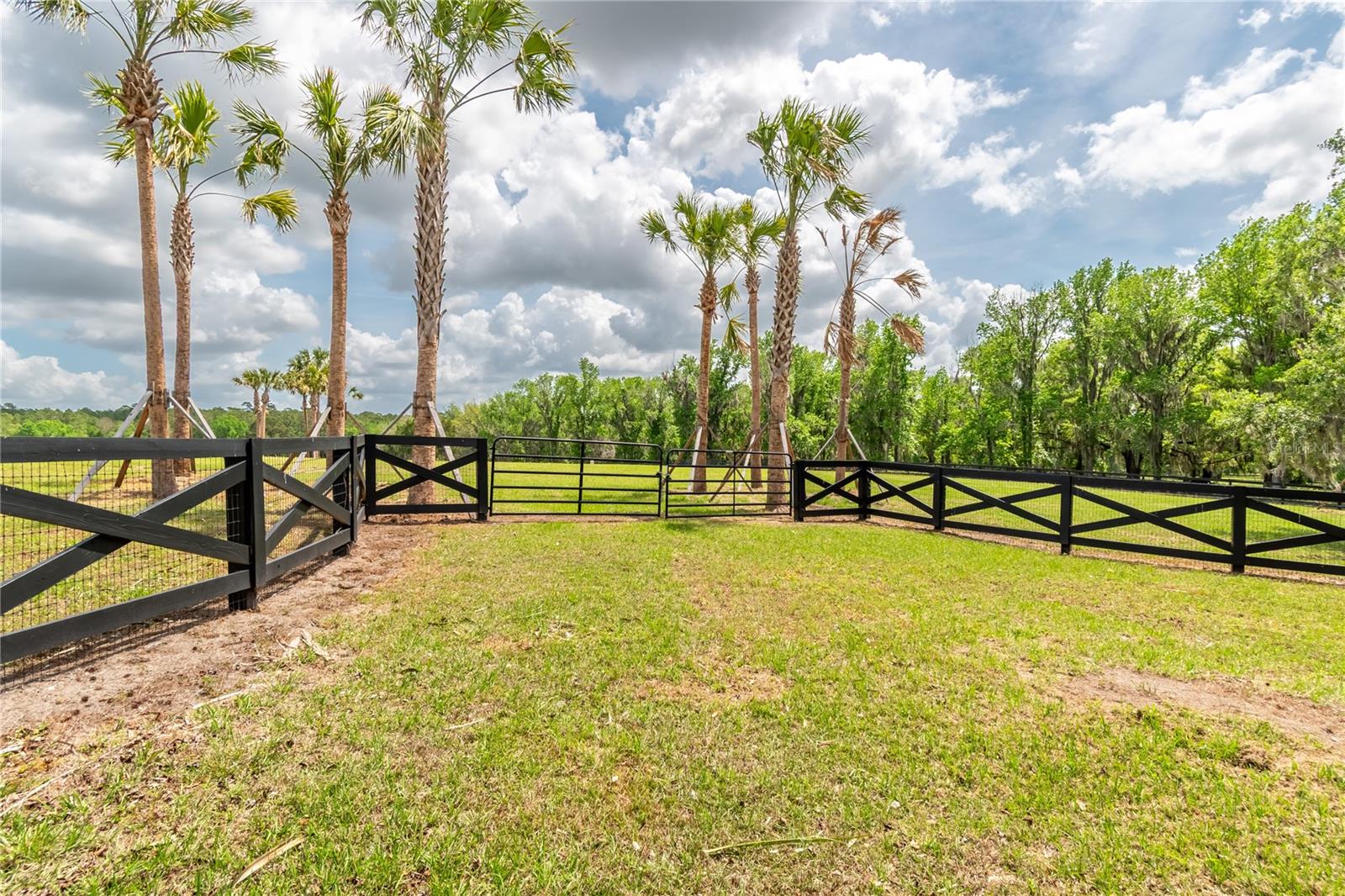Tbd Hwy 329, FL