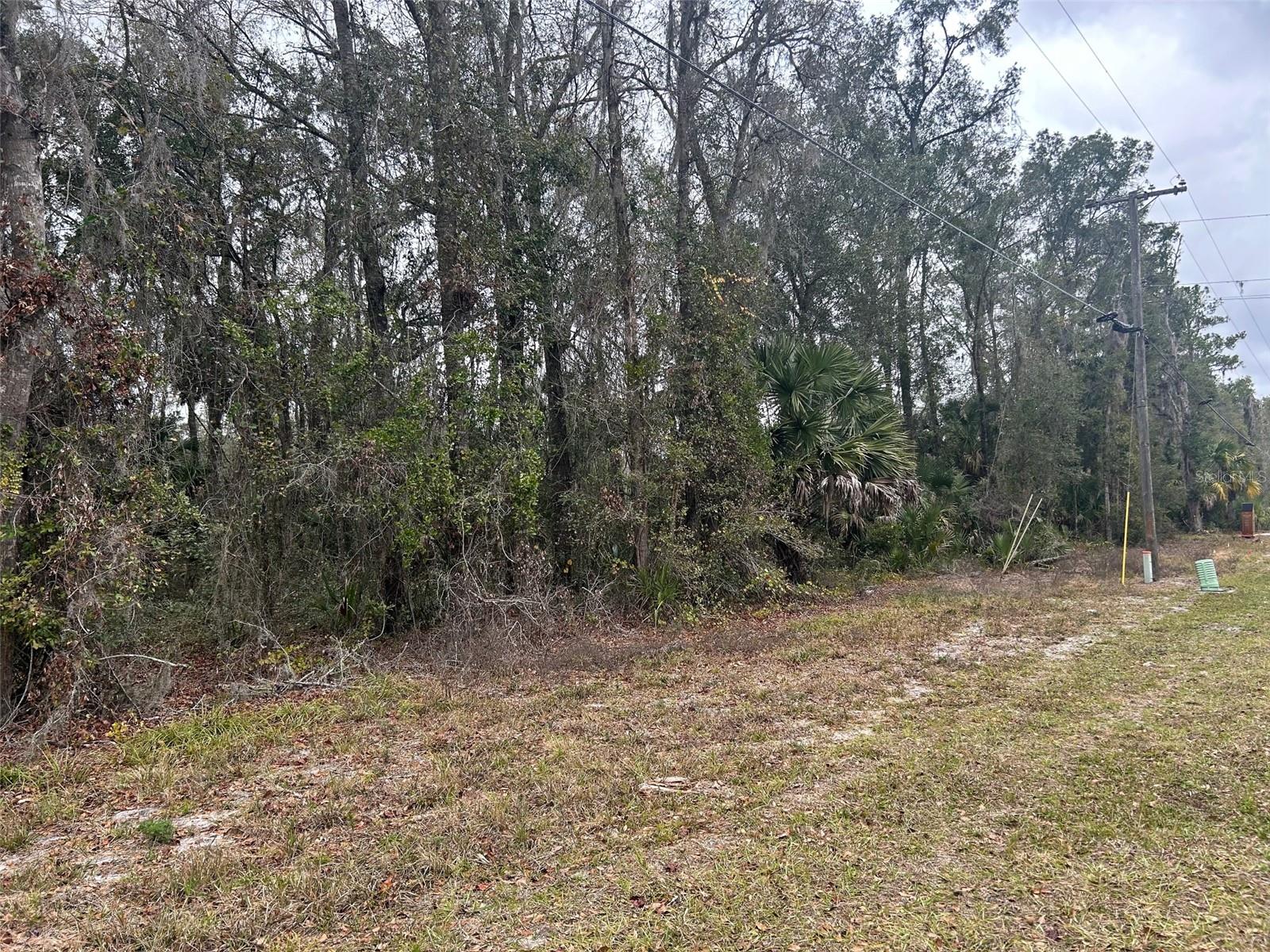 Tbd Highway 316, FL