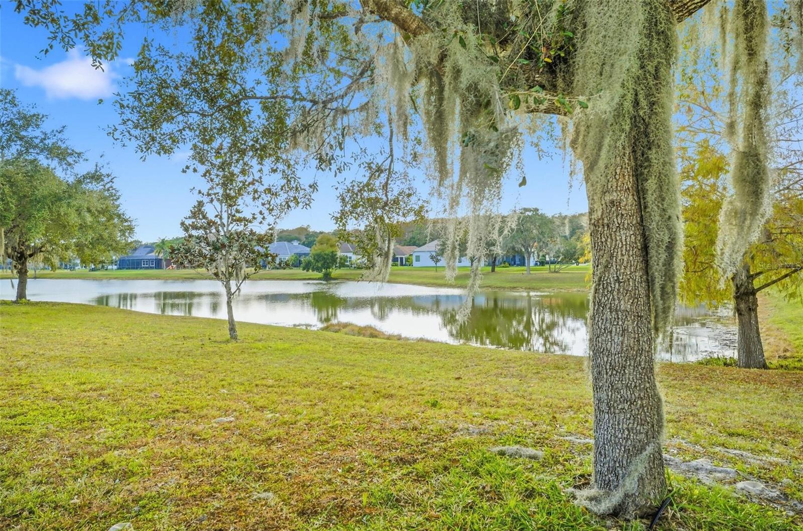 55 New Water Oak Drive, FL