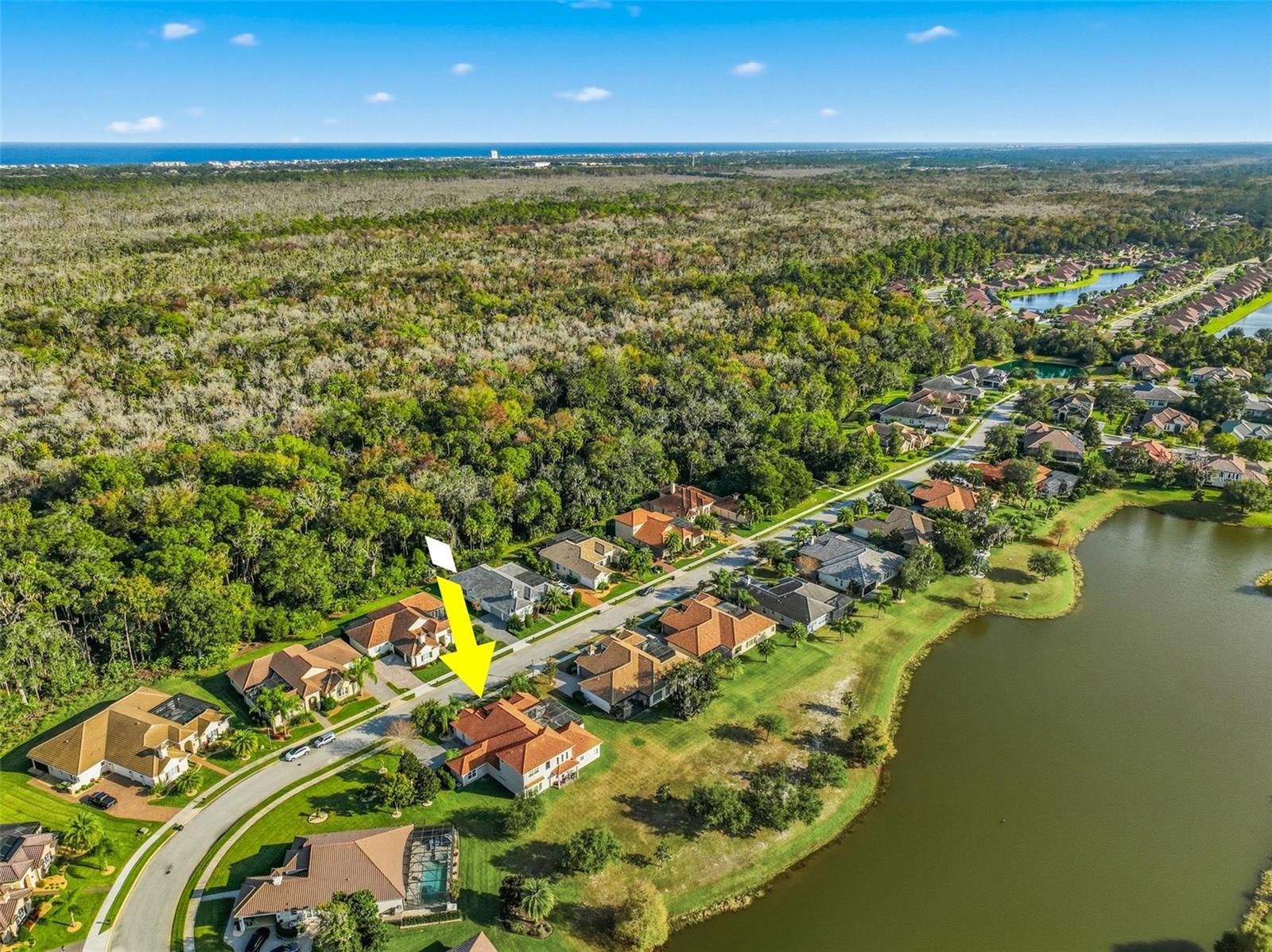 55 New Water Oak Drive, FL