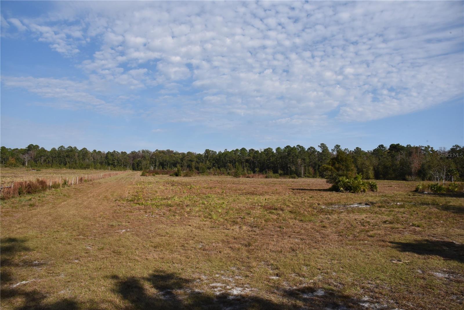 81 Clouds Ave, FL