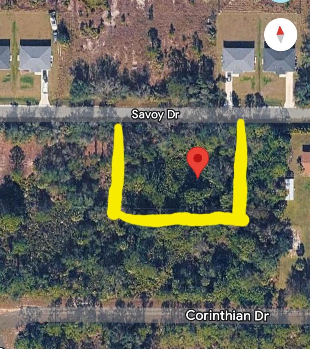 27113 Savoy Drive, FL