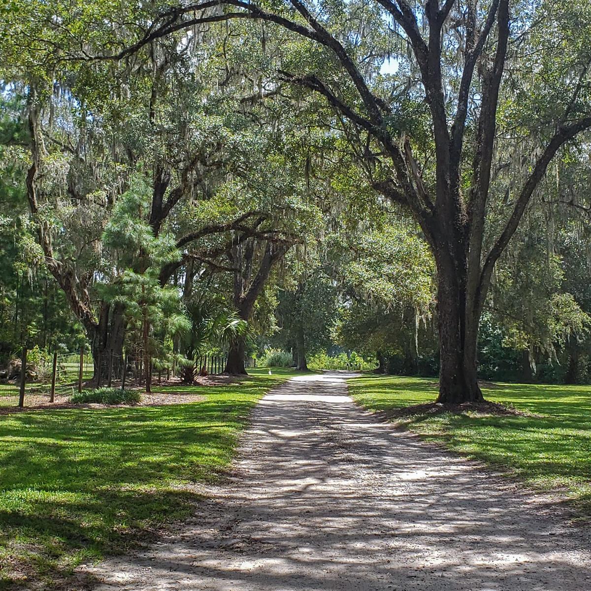 115th Avenue, FL