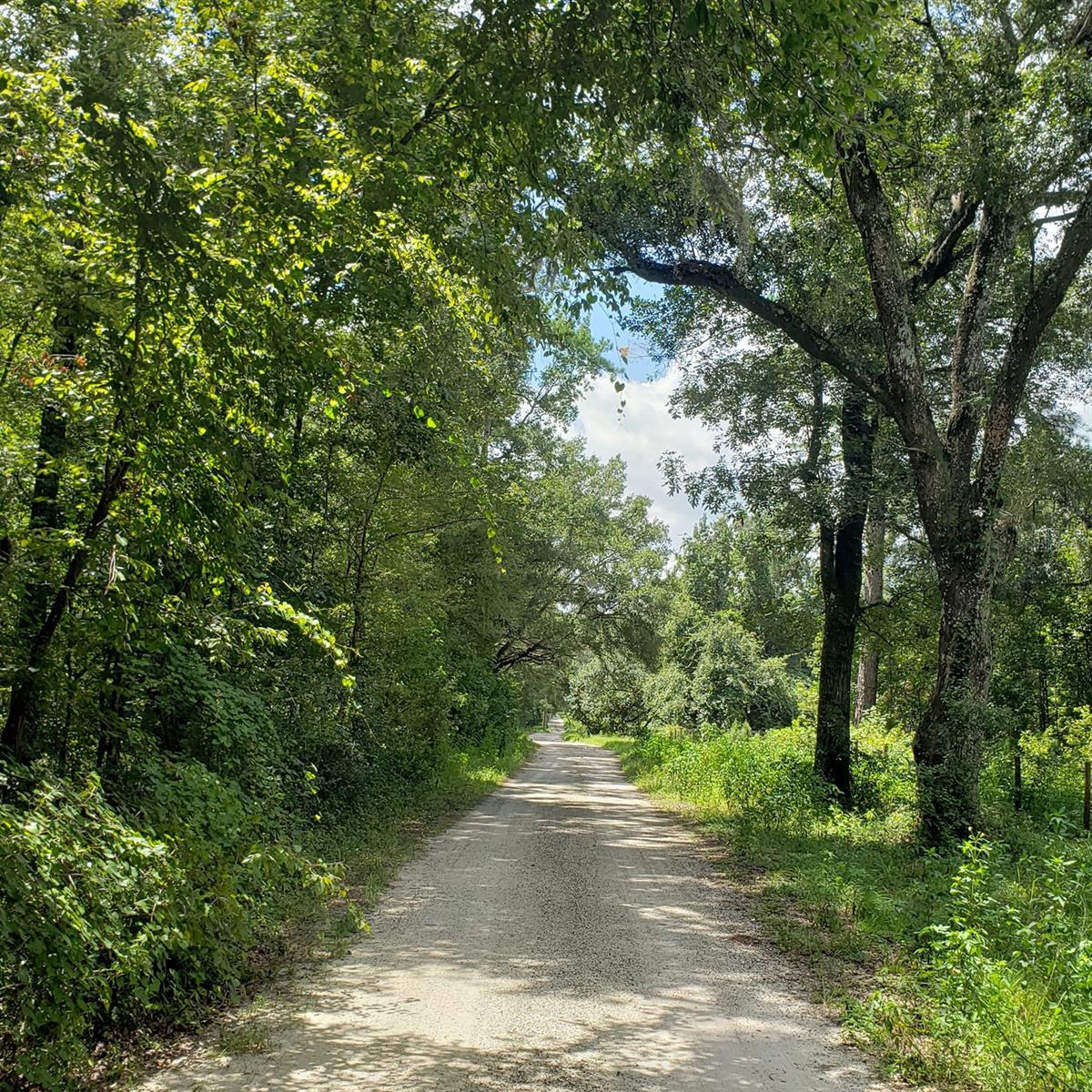115th Avenue, FL