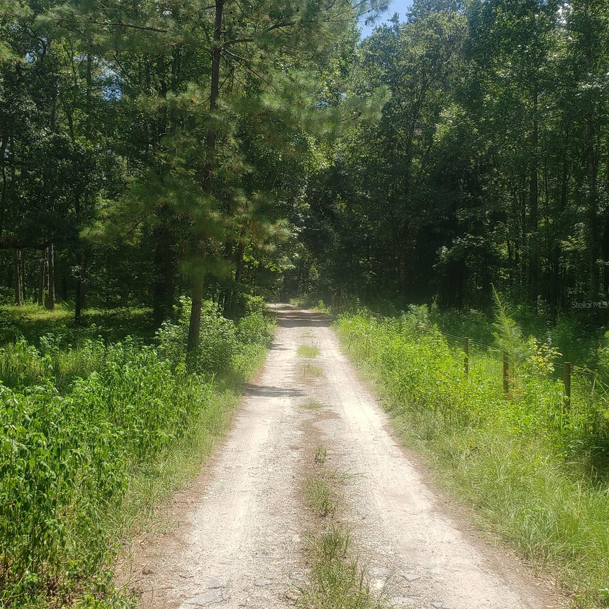 115th Avenue, FL