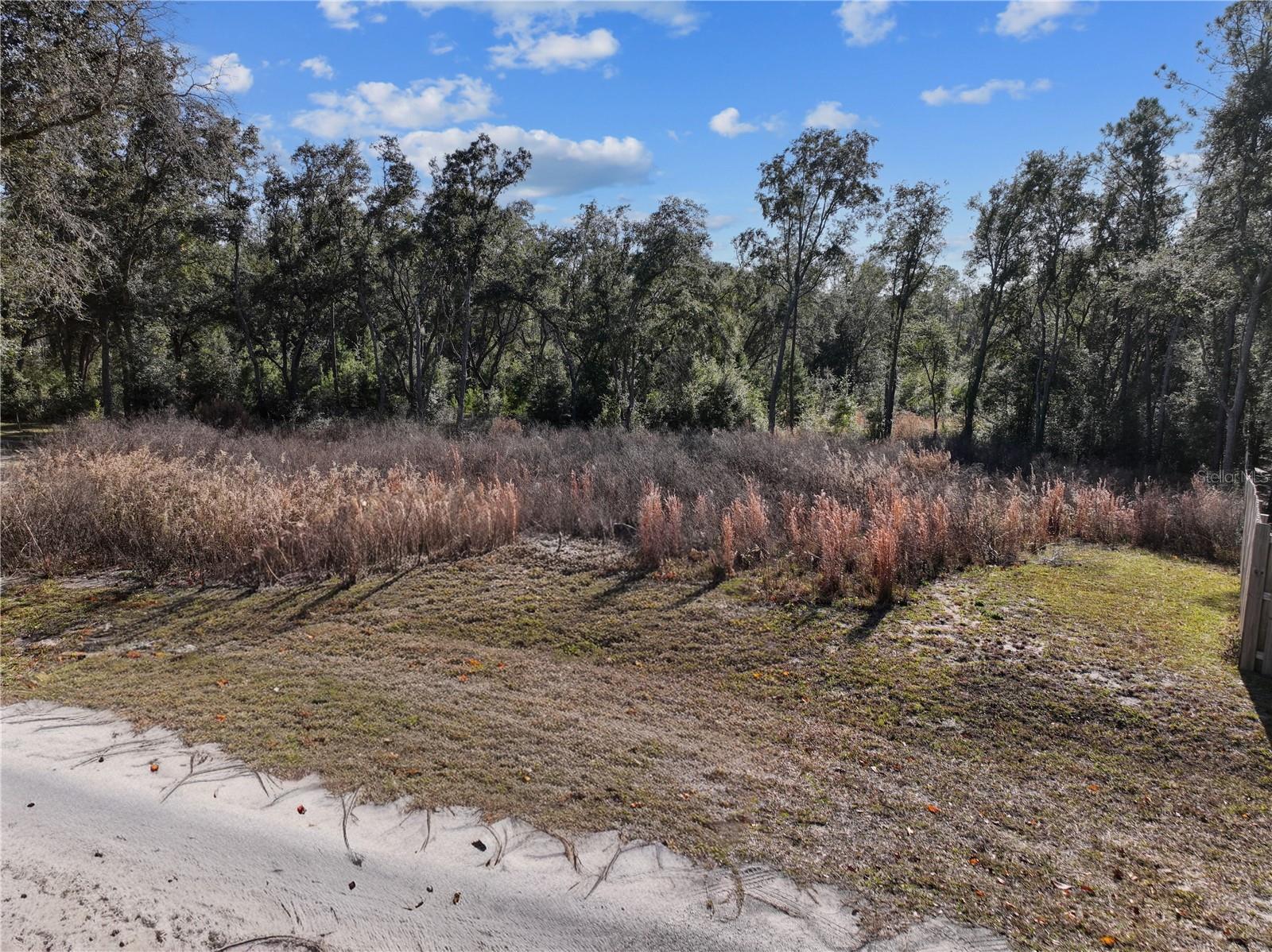 BRONSON, FL