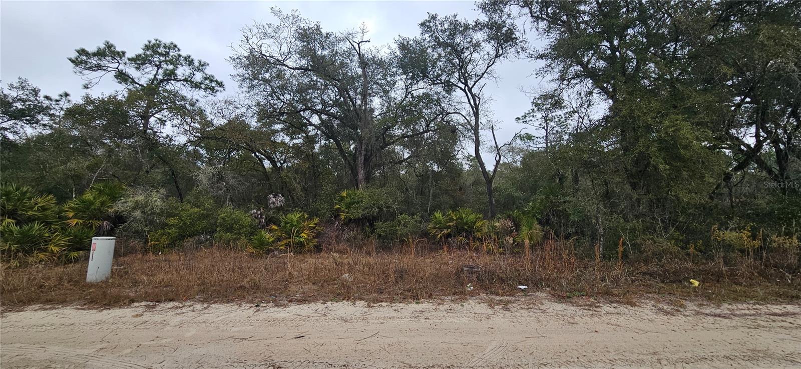 155th Street, FL