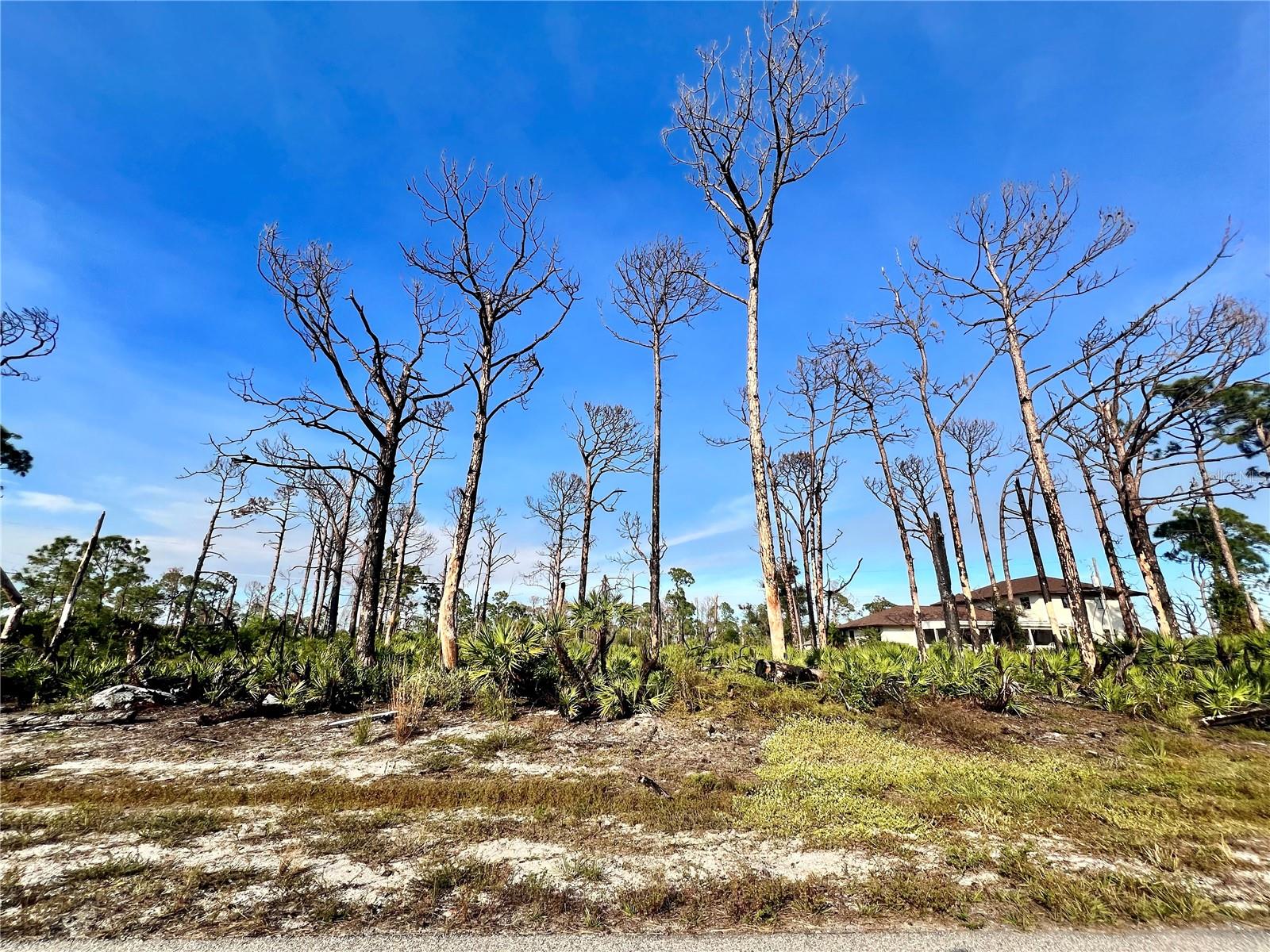 6 Adrift Court, FL