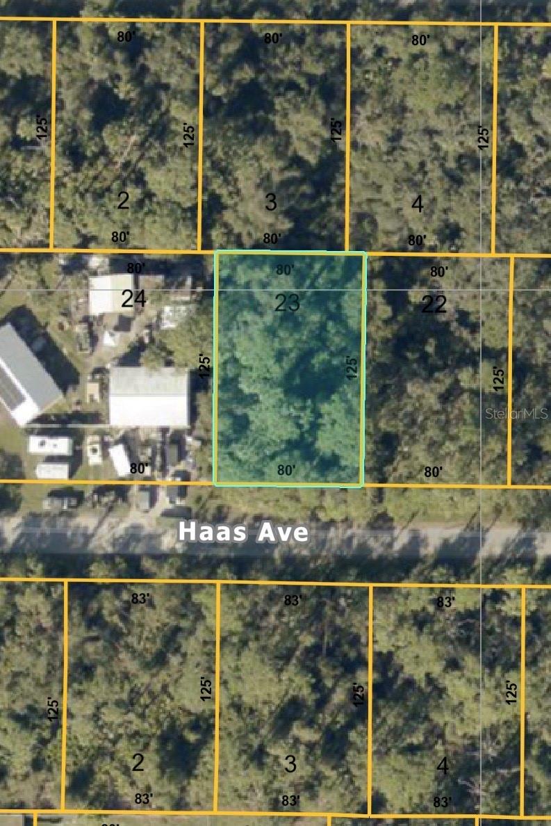 Haas Avenue, FL