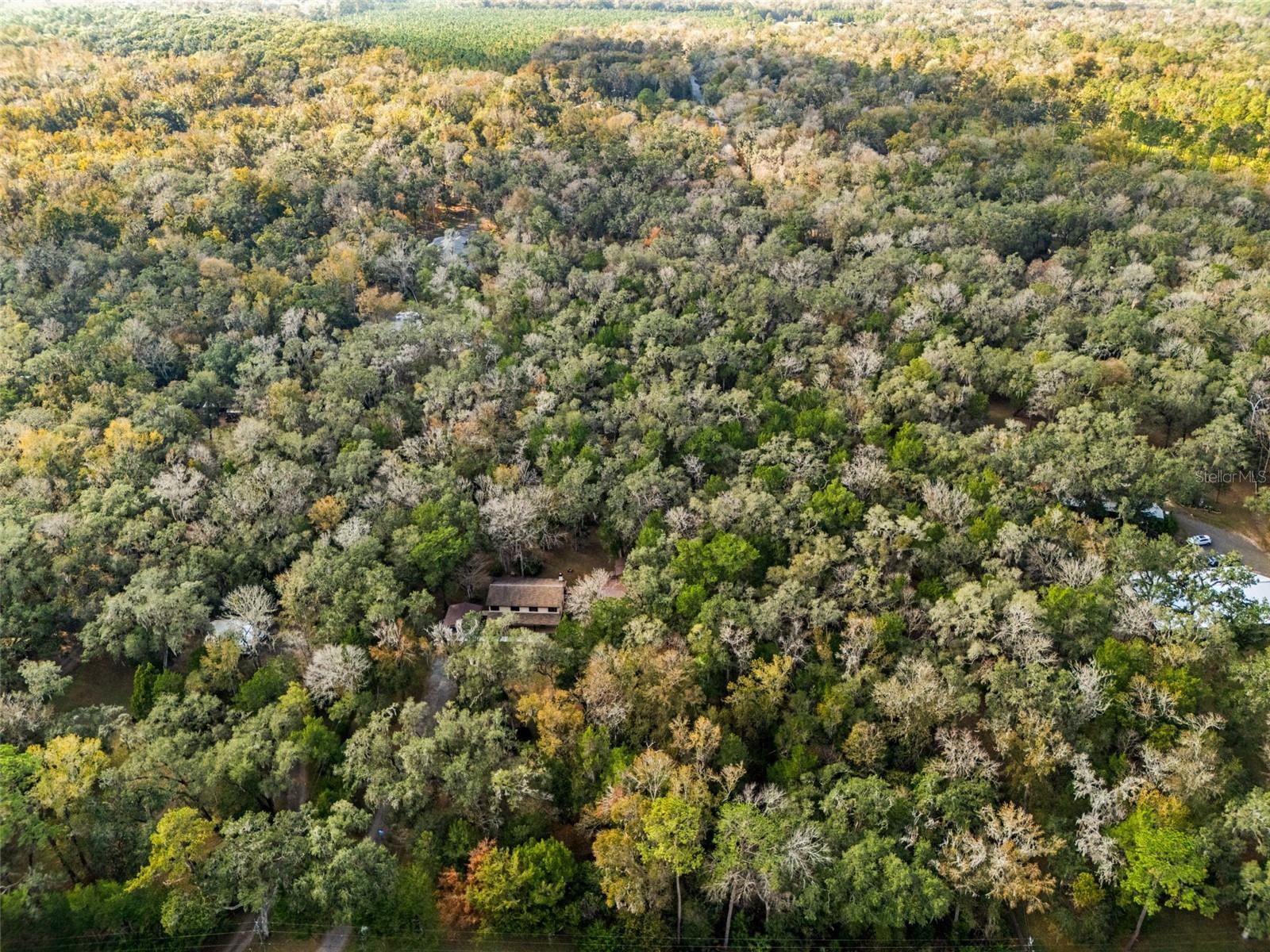 12047 Timber Lane, FL