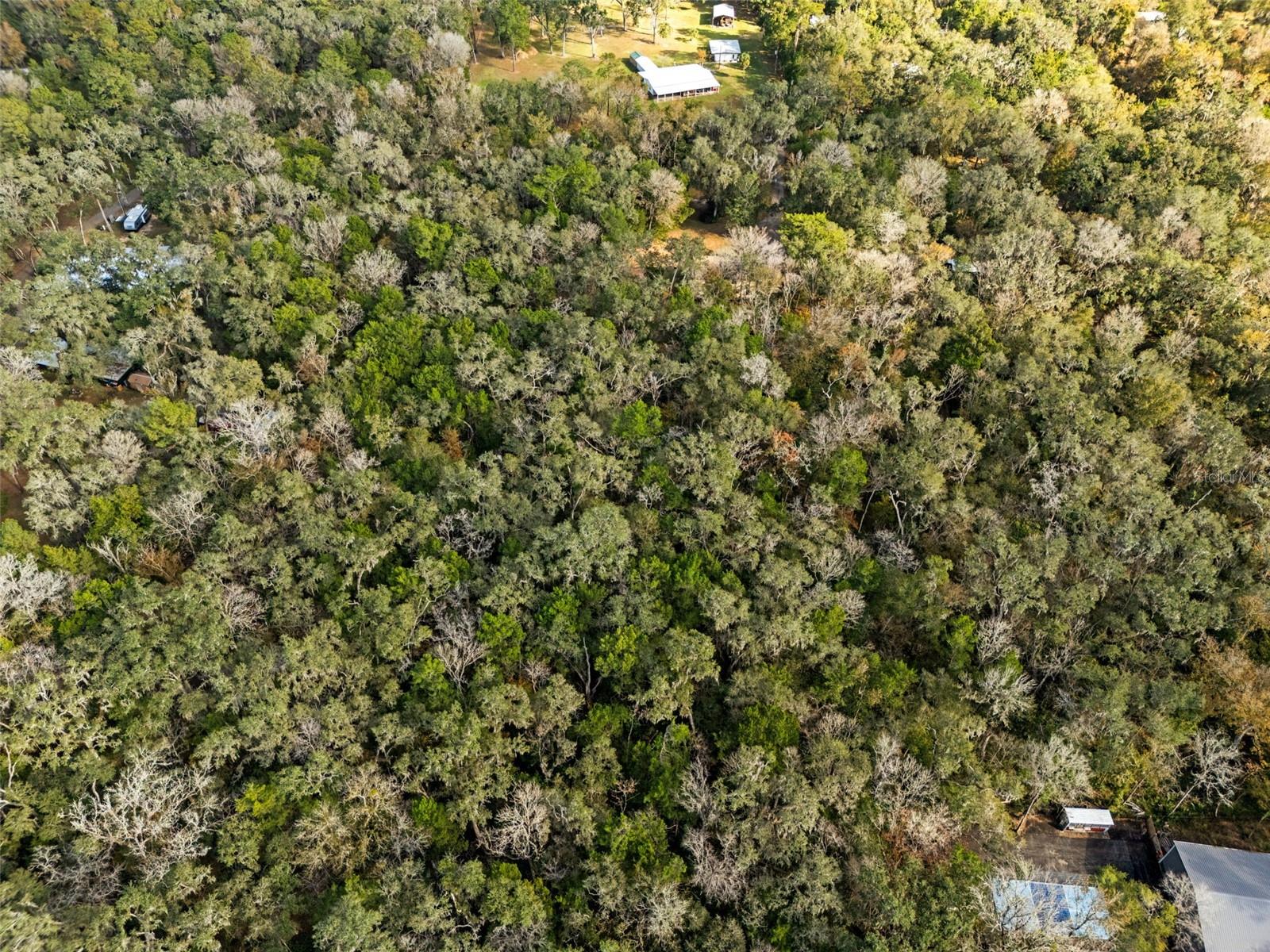 12047 Timber Lane, FL