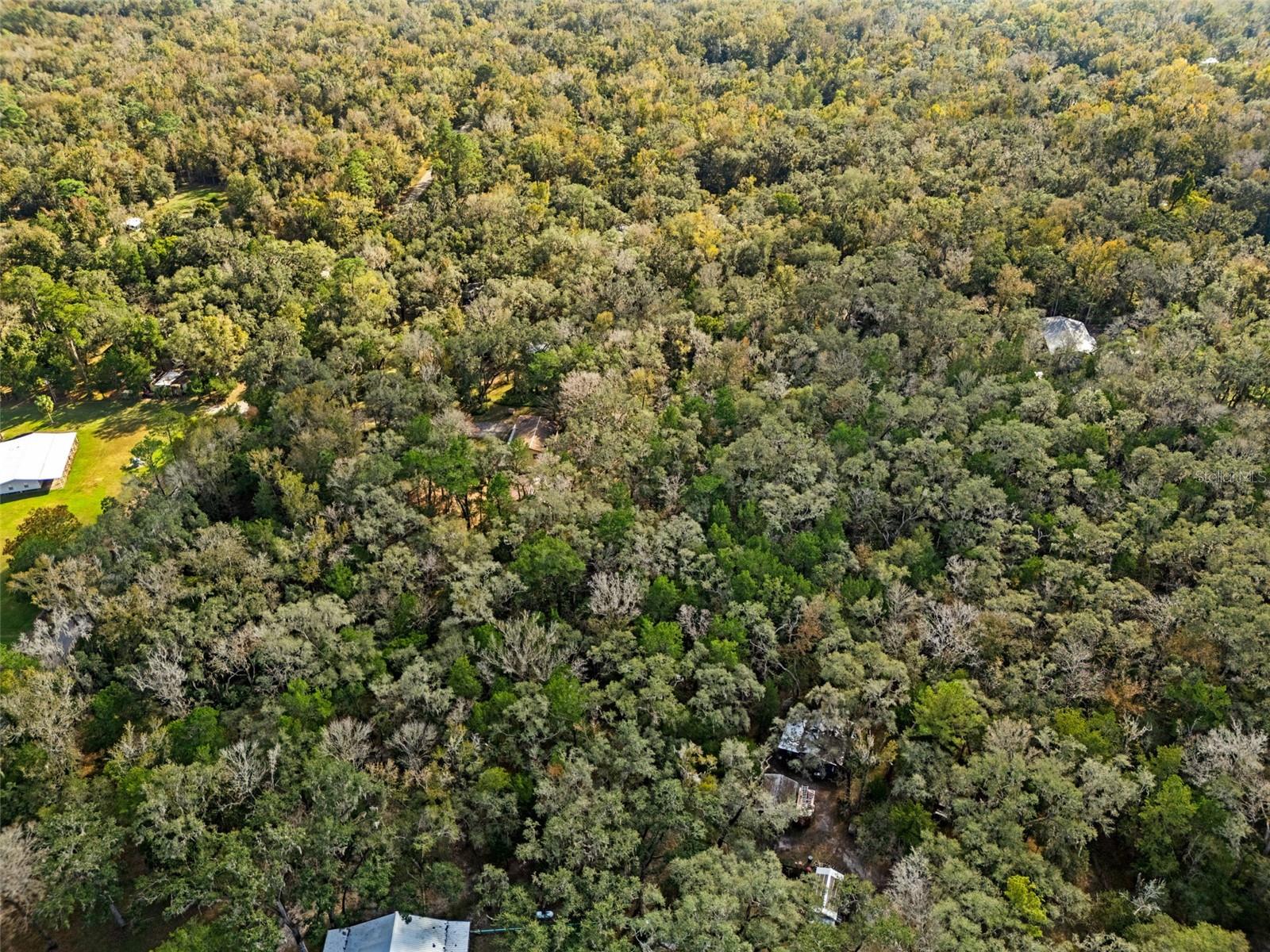 12047 Timber Lane, FL