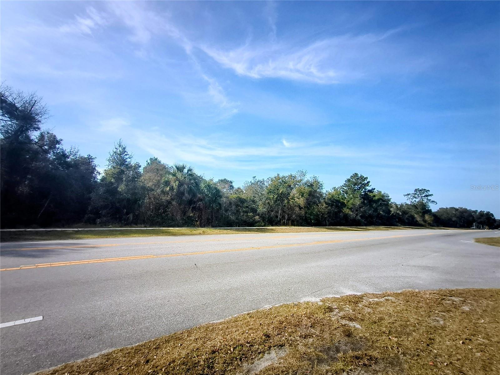 0 Doyle Road, FL