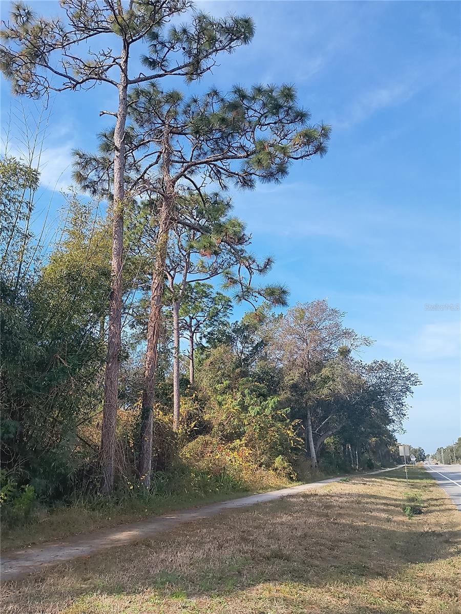 0 Doyle Road, FL