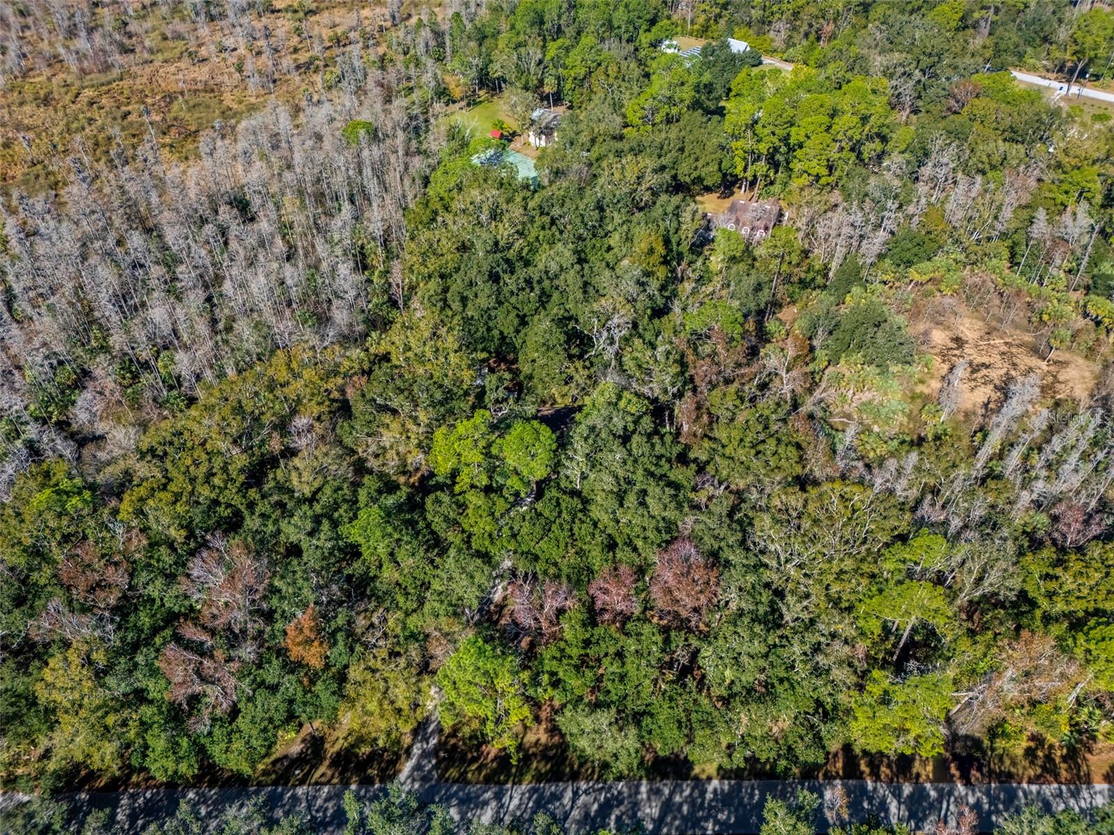 8725 Quail Run Drive, FL