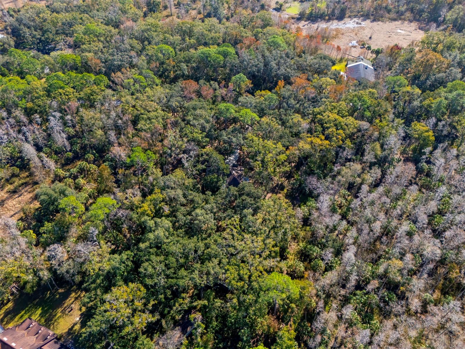 8725 Quail Run Drive, FL