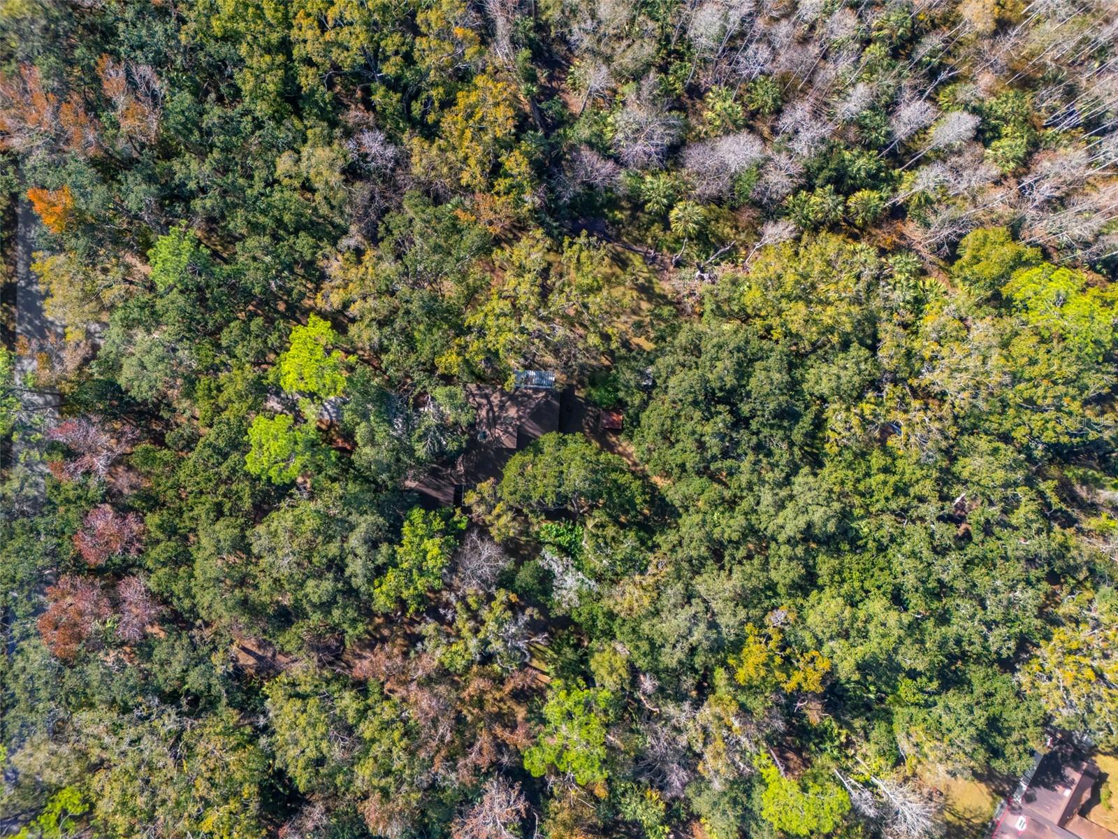 8725 Quail Run Drive, FL