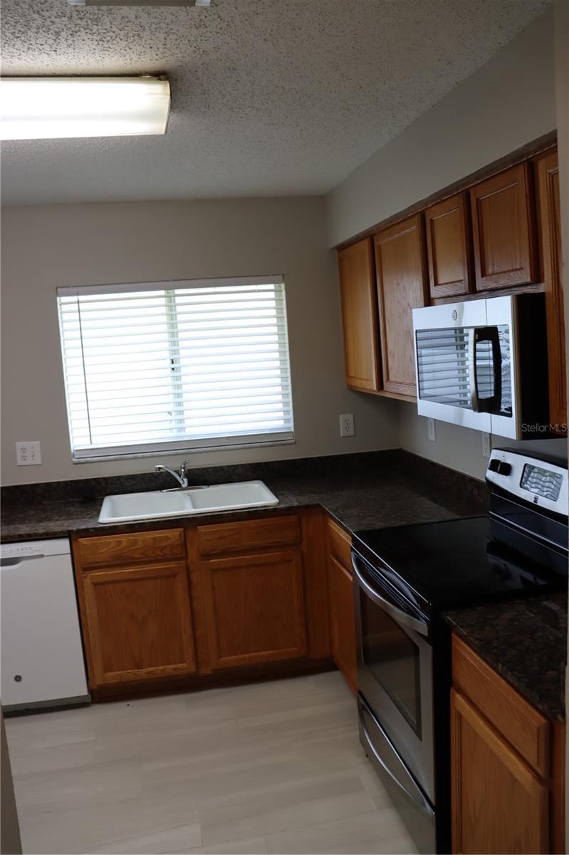 6419 Chapel Pines Boulevard, FL