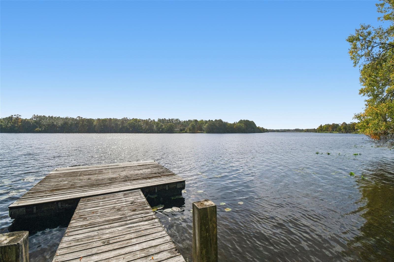 4601 River Hills Drive, FL
