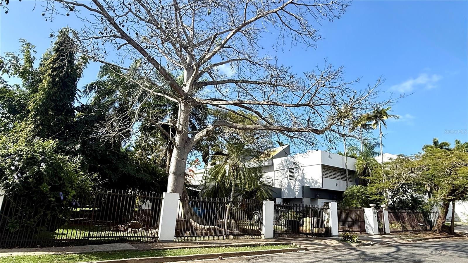 Calle Pedrosa, Garden Hills, PR