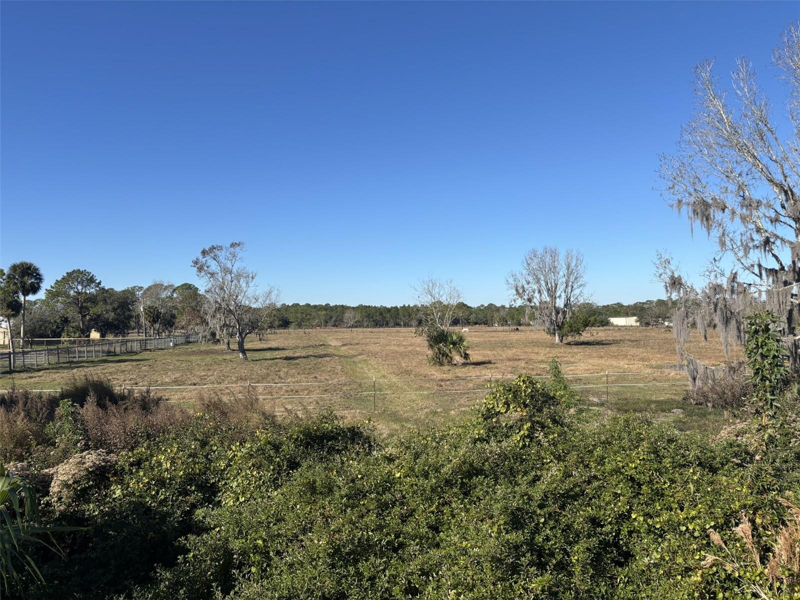 Tomoka Farms Road, FL