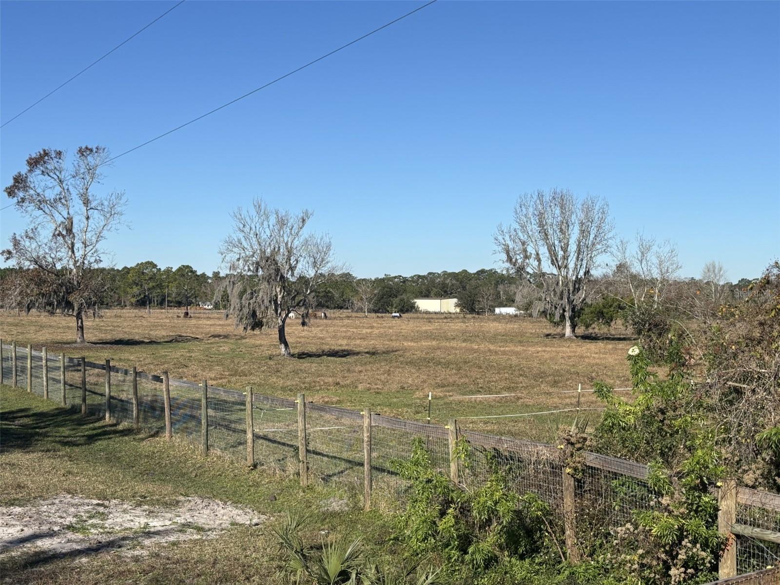 Tomoka Farms Road, FL