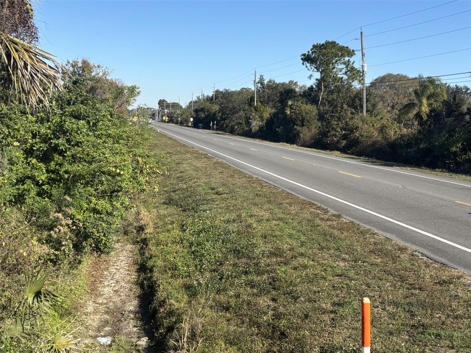 Tomoka Farms Road, FL