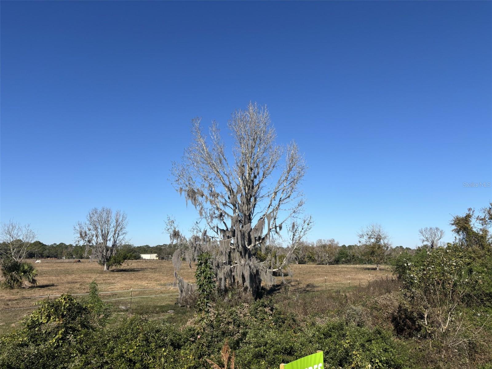 Tomoka Farms Road, FL