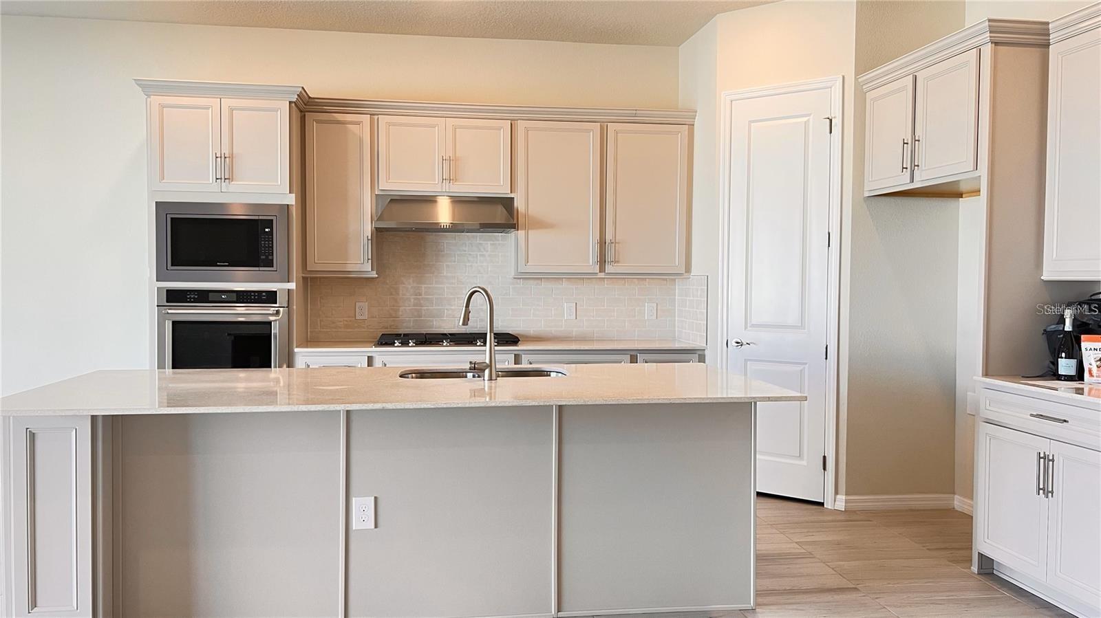 10331 Parkview Reserve Lane, FL