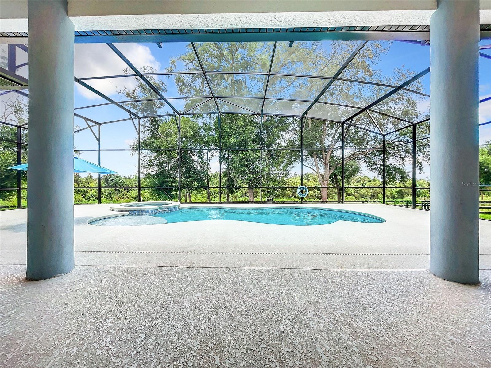 20404 Wolf Springs Court, FL