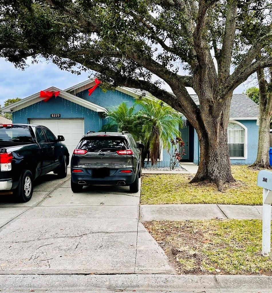 8225 Riverboat Drive, FL