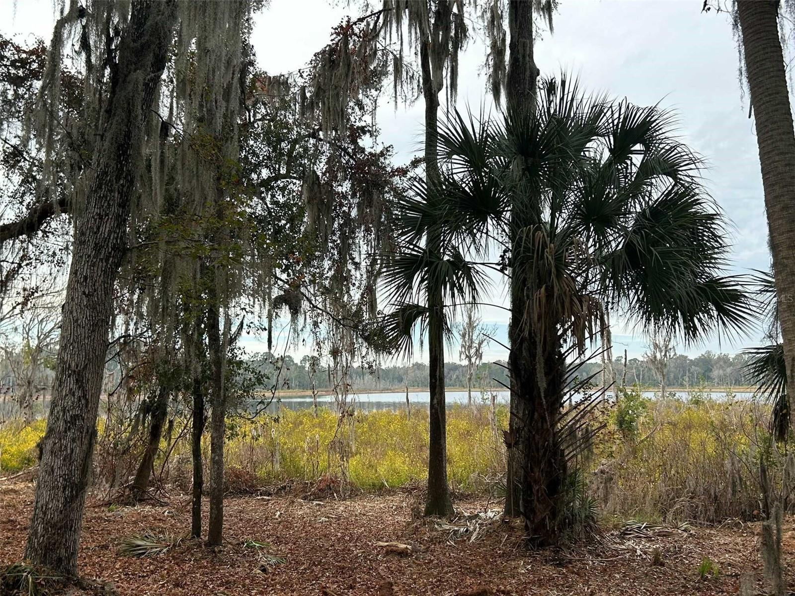 Faye Street, FL