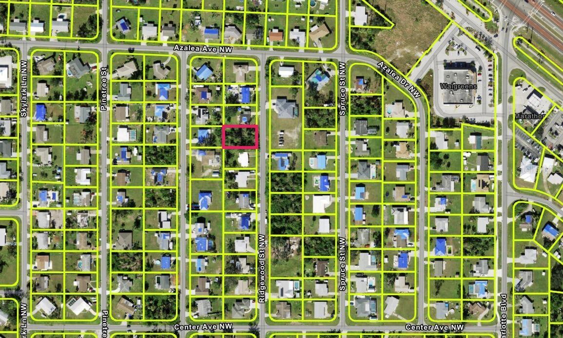 566 Ridgewood Street, FL