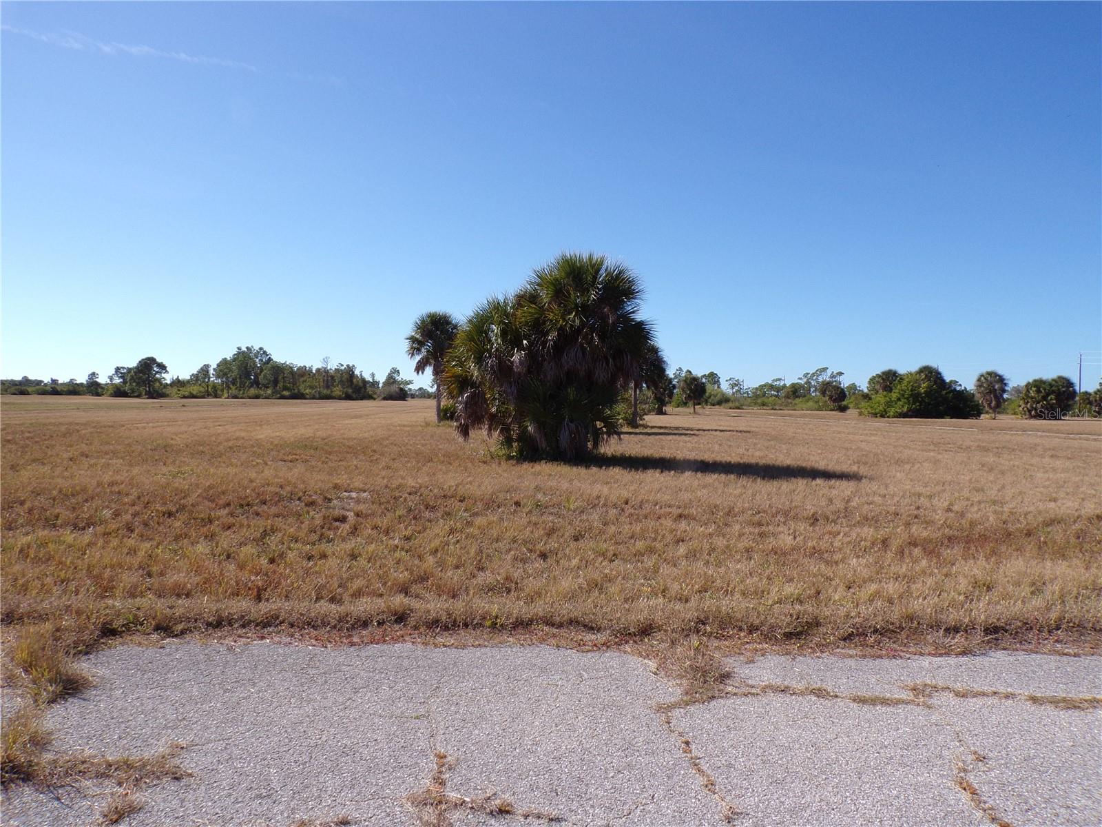 12074 Salitpa Court, FL
