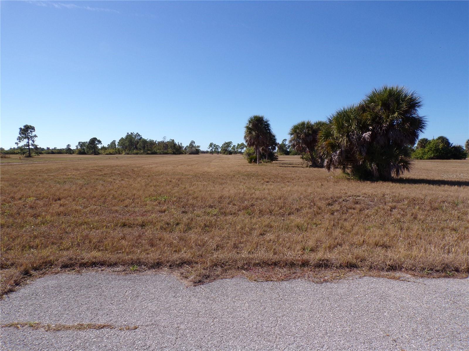 12074 Salitpa Court, FL