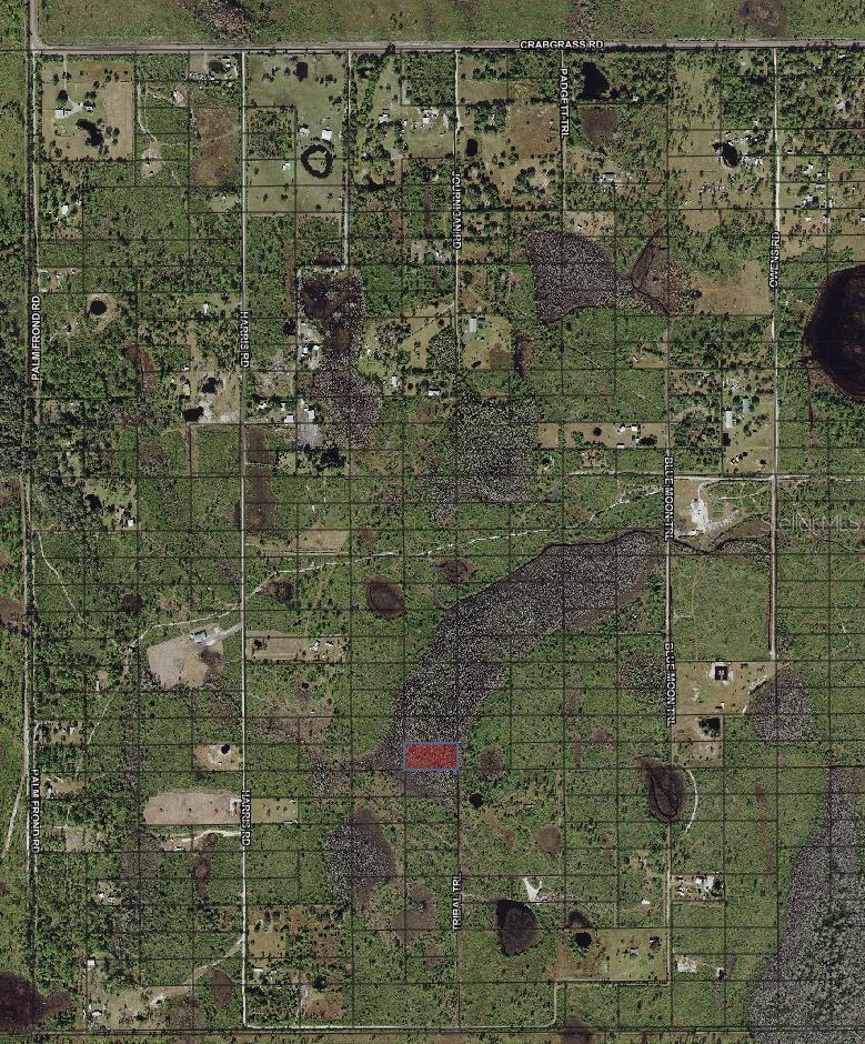 Tribal Trail, FL