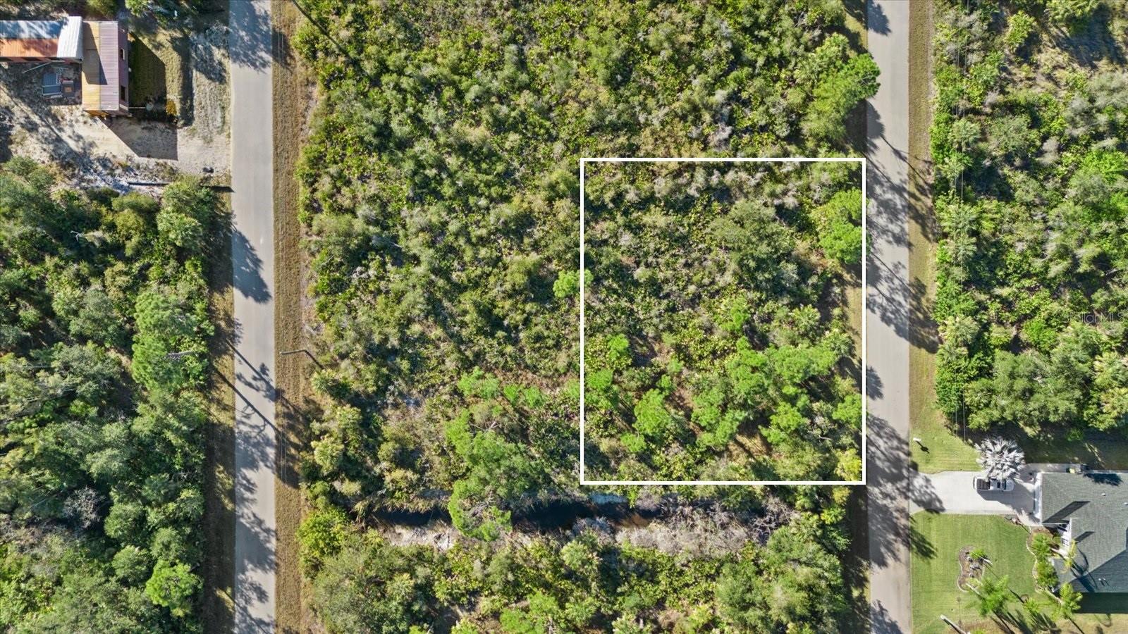 14113 Hydrangea Avenue, FL