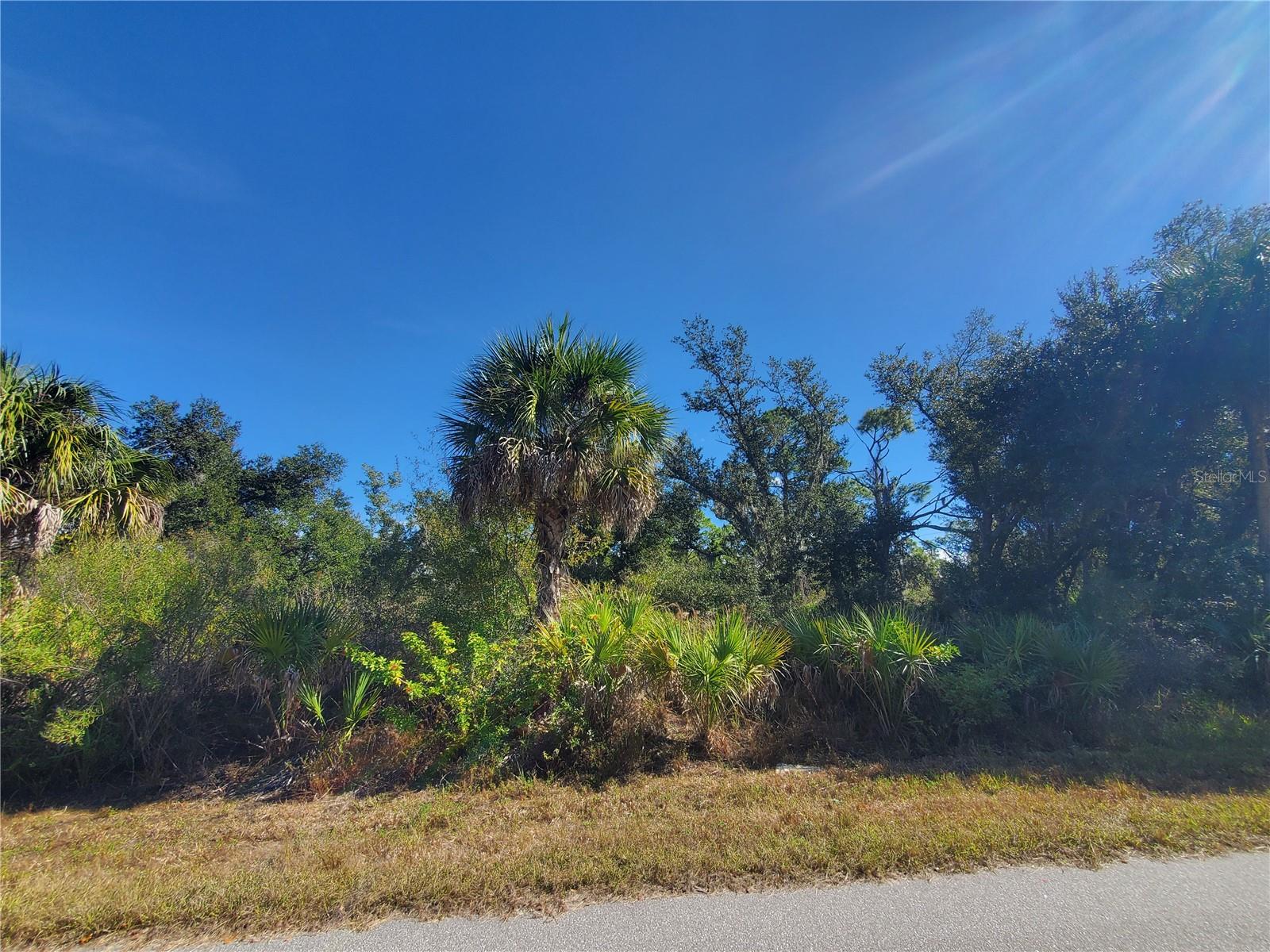 1520 Capel Street, FL