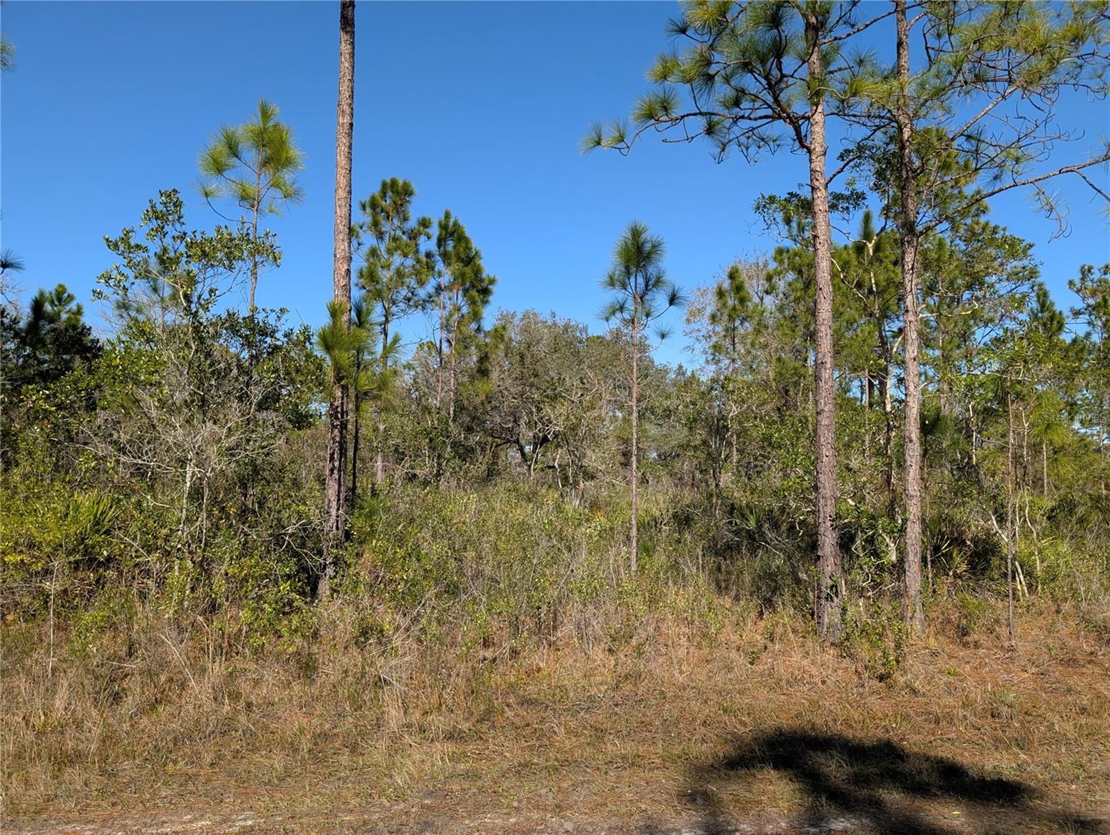 206 Ixora Drive, FL