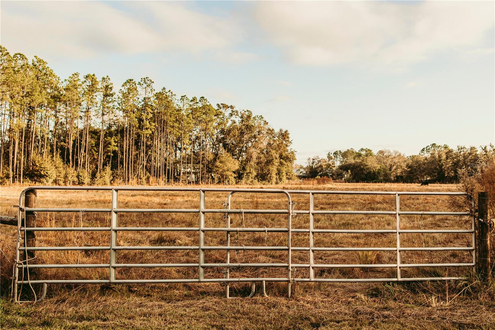 0 Dormany Road, FL
