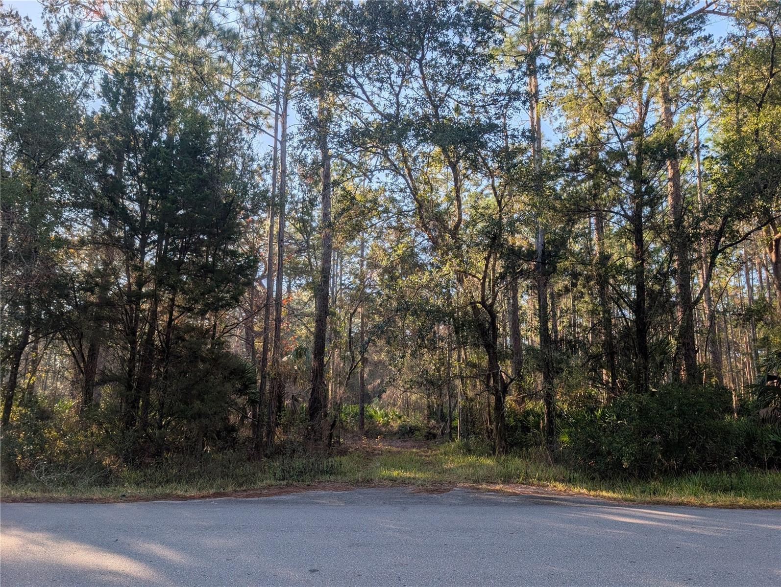 Rosedale Drive, FL