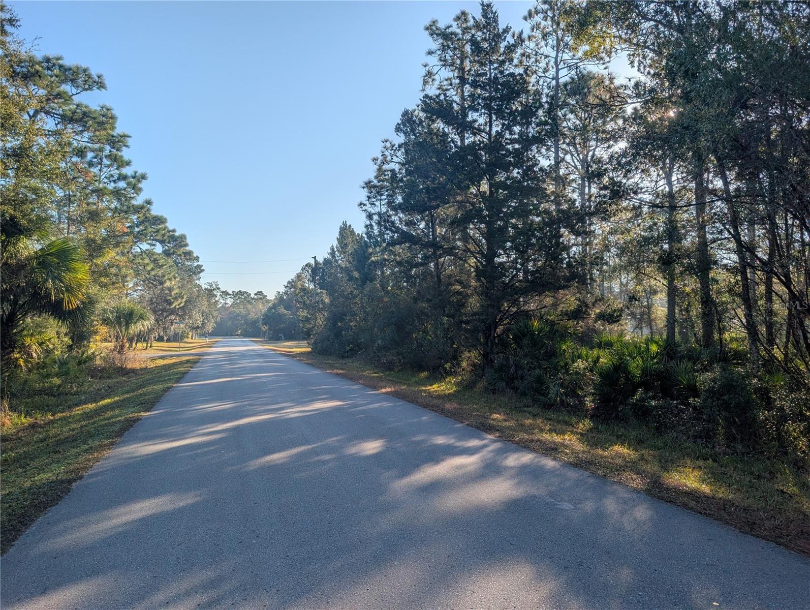 Rosedale Drive, FL
