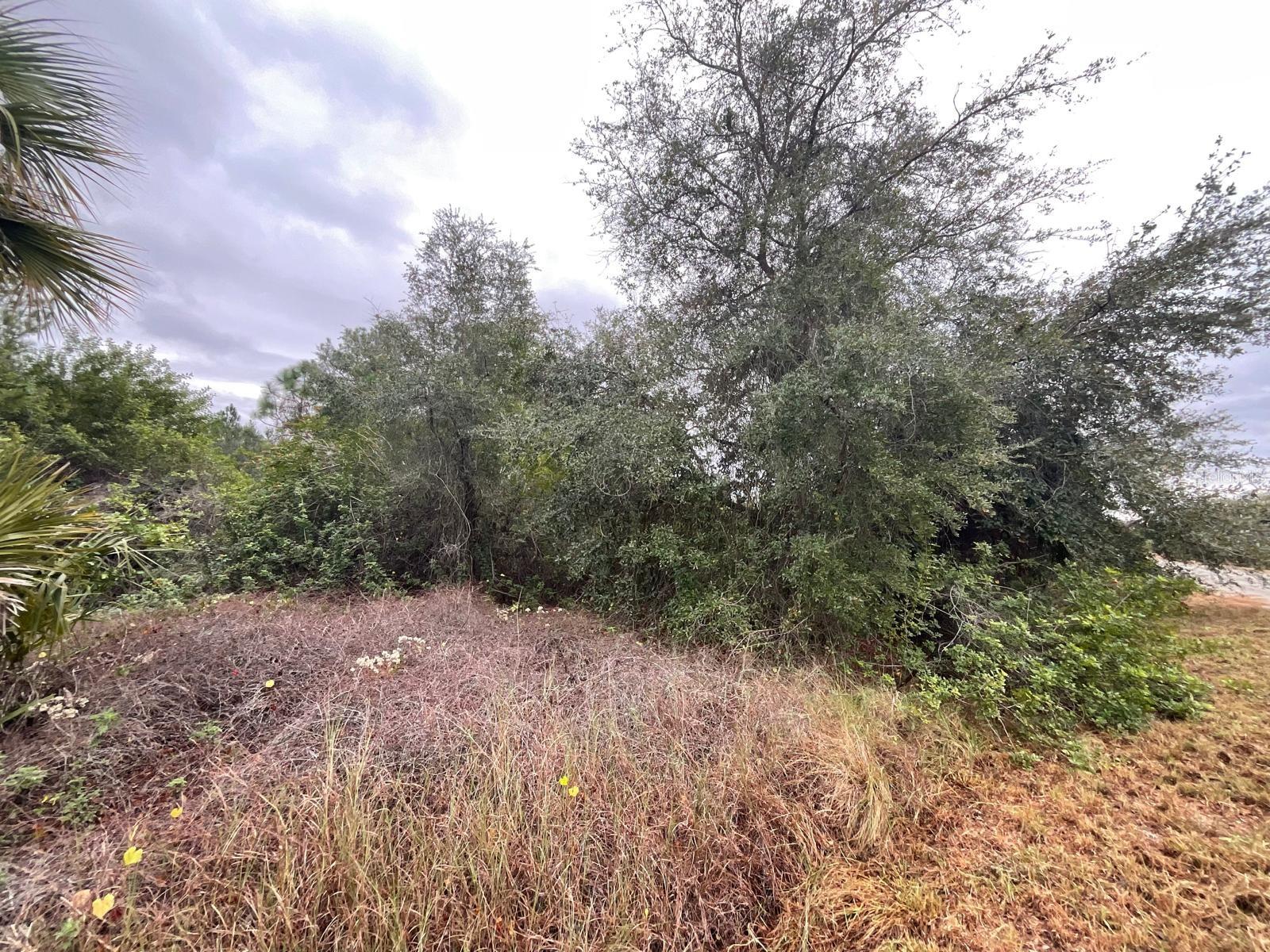 1608 Scott Avenue, FL